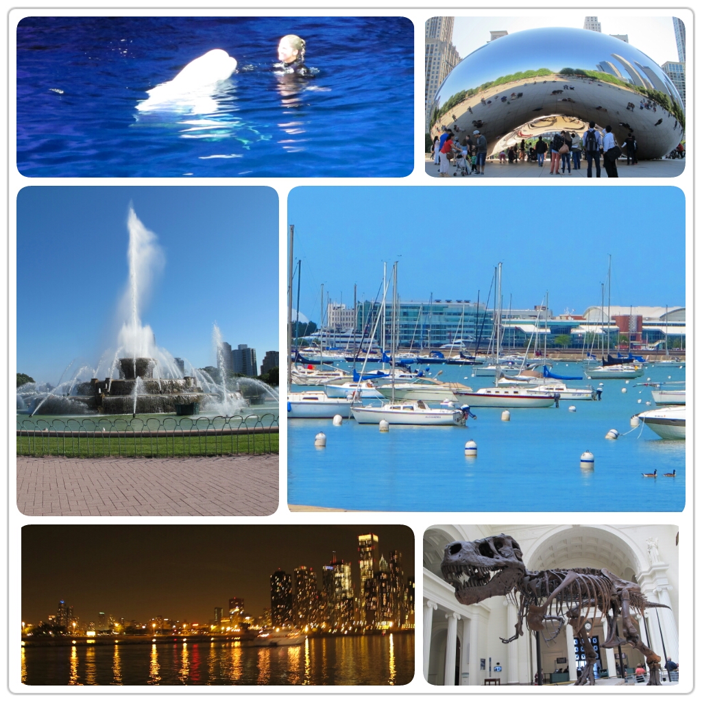 PhotoGrid_1371562164364