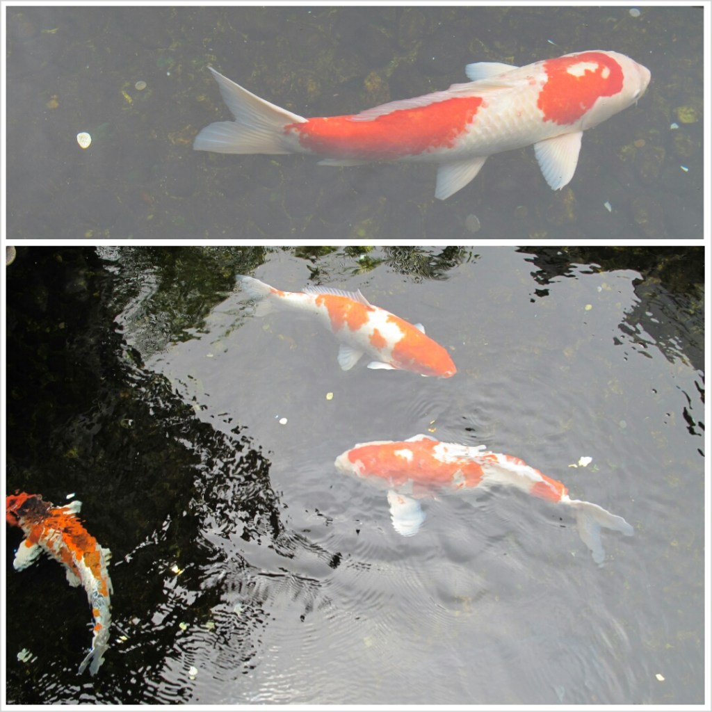 PhotoGrid_1381094123982