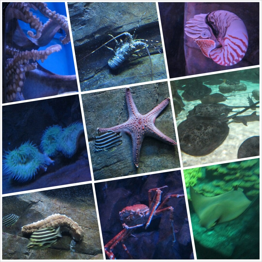 PhotoGrid_1381097944743