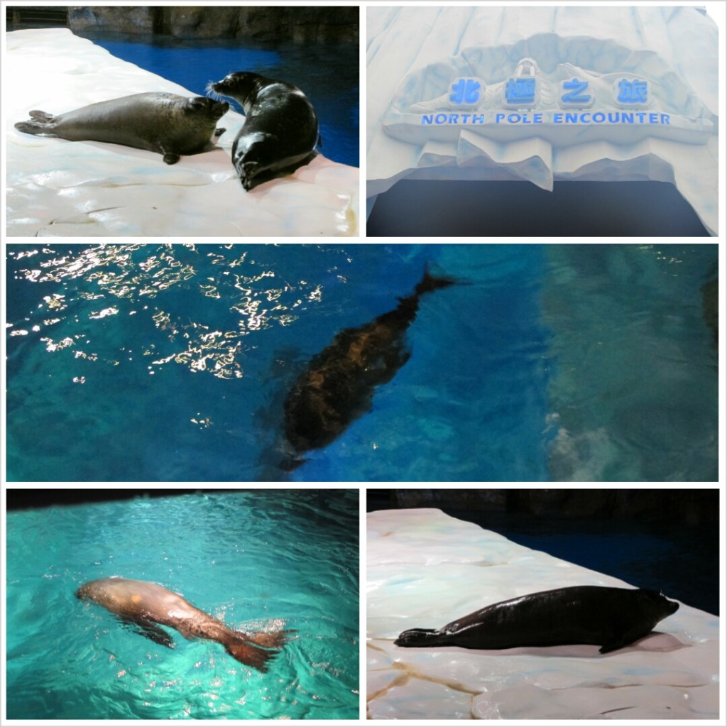 PhotoGrid_1381098593279