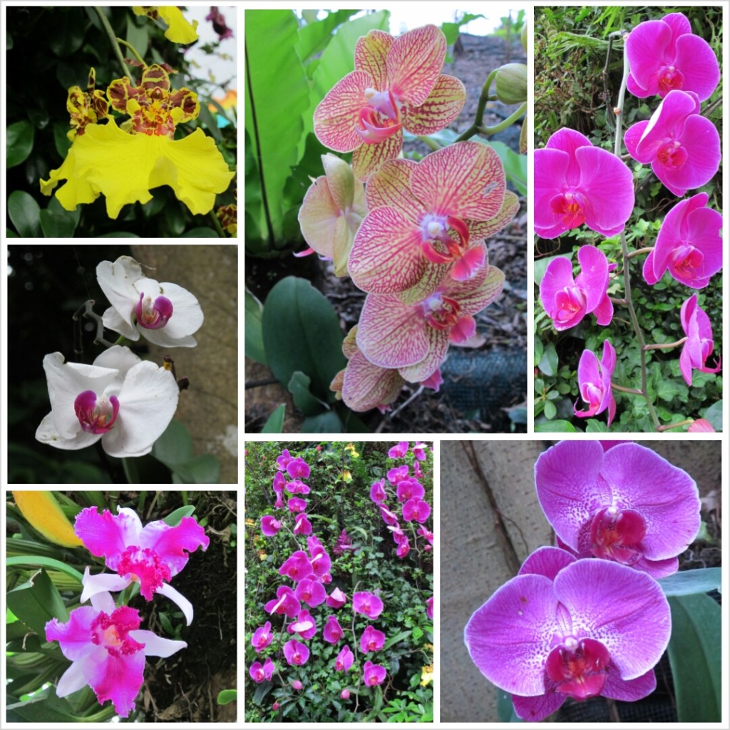 PhotoGrid_1381318555277