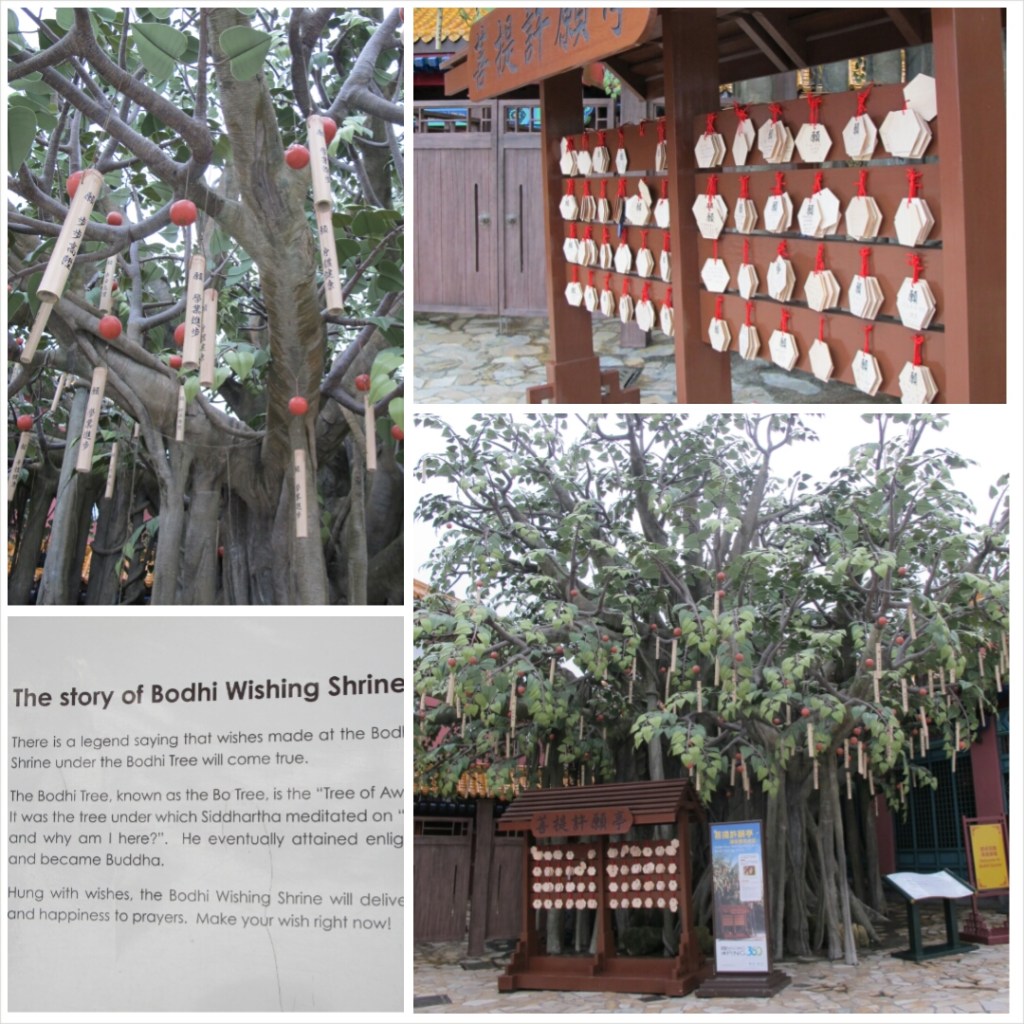 PhotoGrid_1387369530942