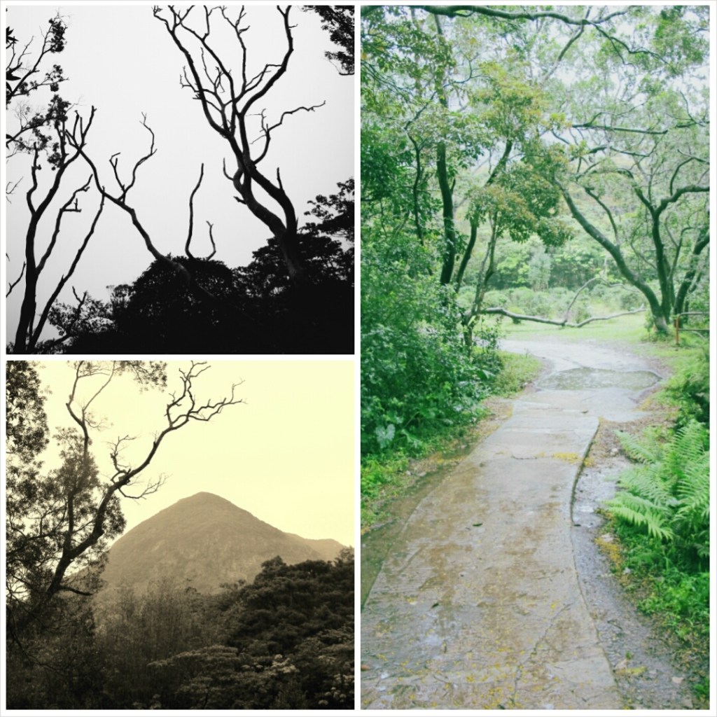 PhotoGrid_1387377690010