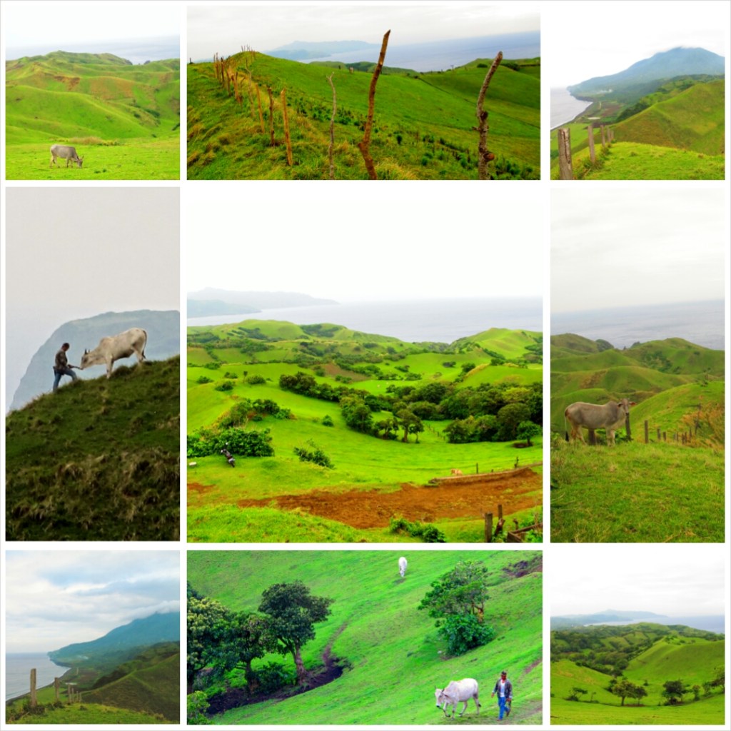 PhotoGrid_1388903888604