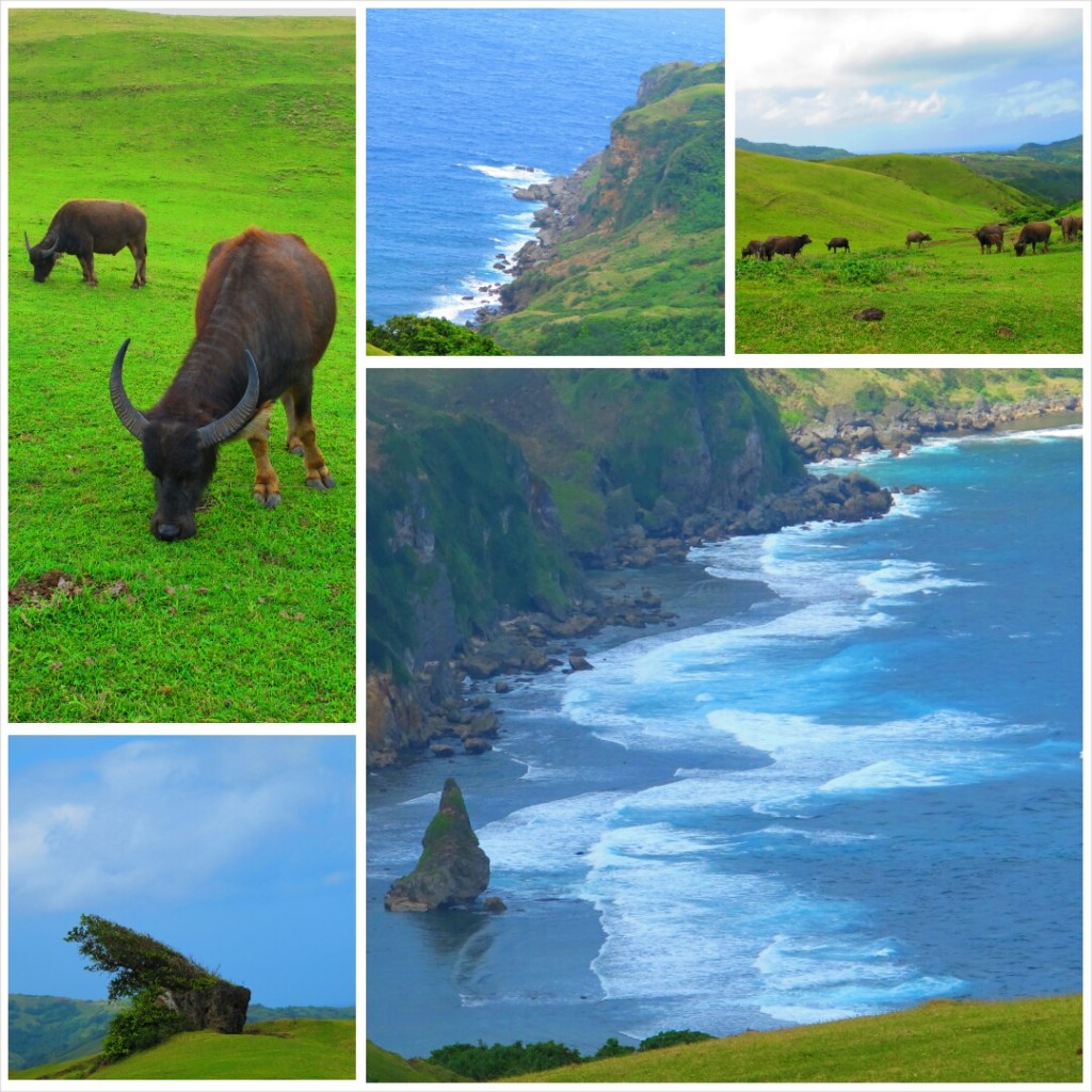 PhotoGrid_1389496832145