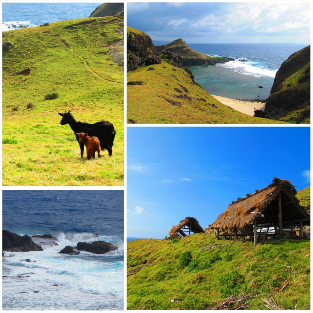 PhotoGrid_1394803257239