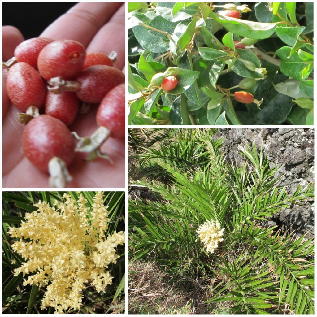 PhotoGrid_1394968596416