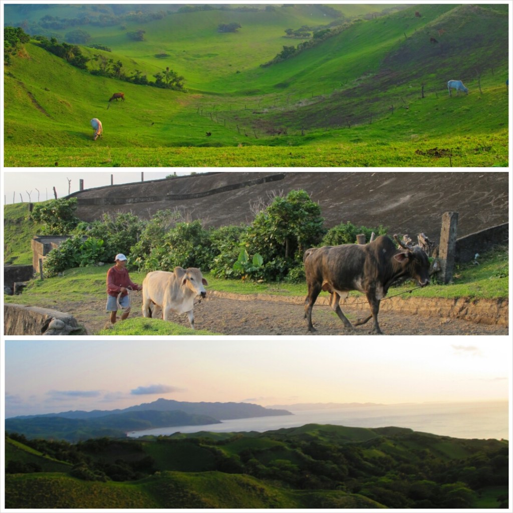 PhotoGrid_1395665429947