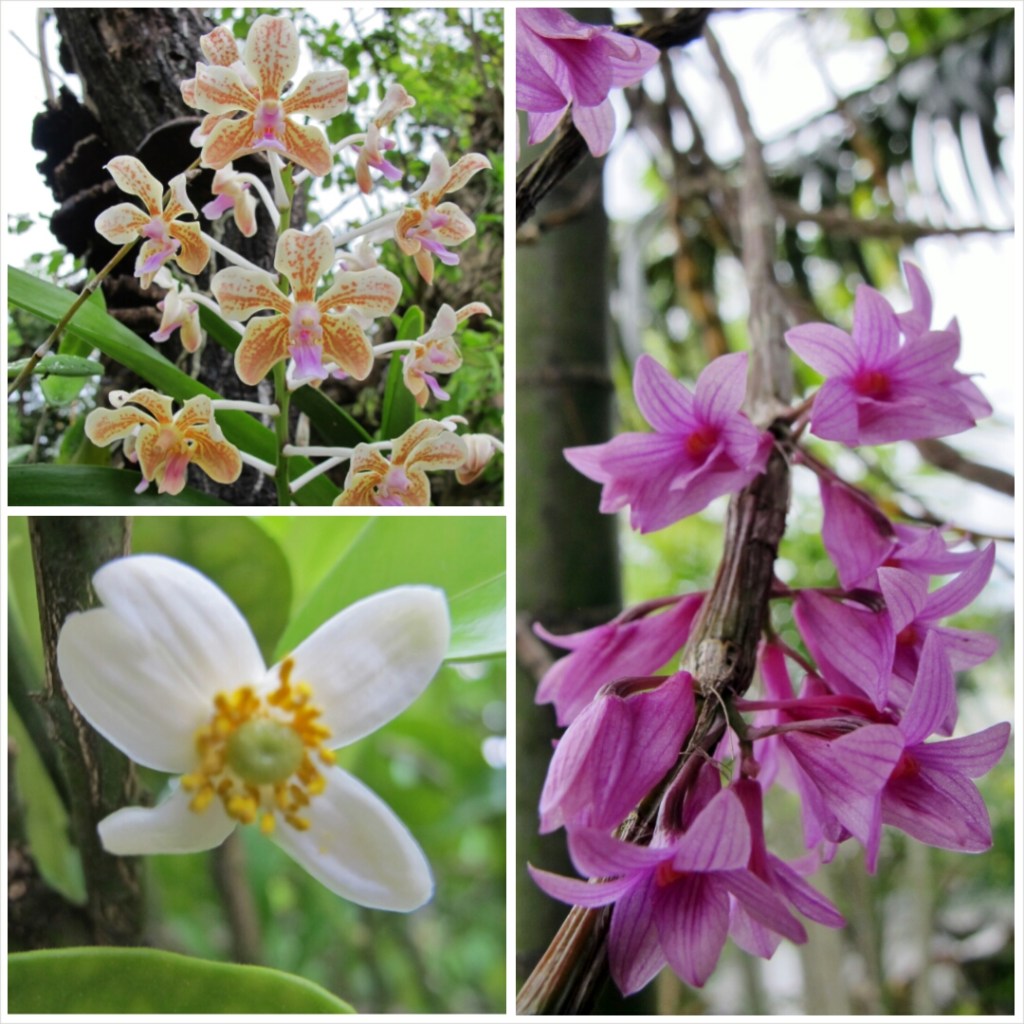 PhotoGrid_1396269802216