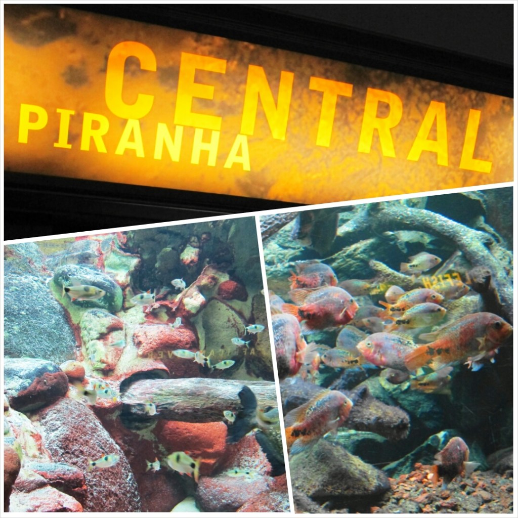 PhotoGrid_1398600402351