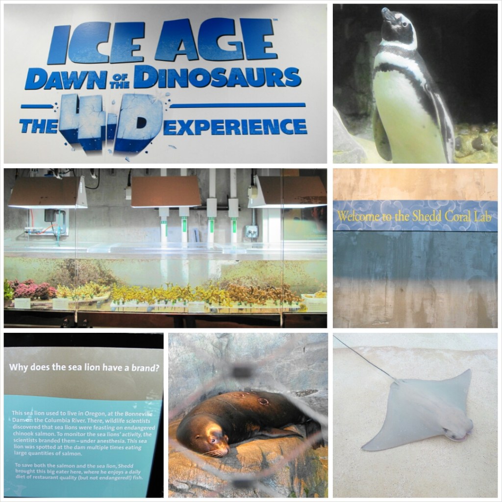 PhotoGrid_1398600944034