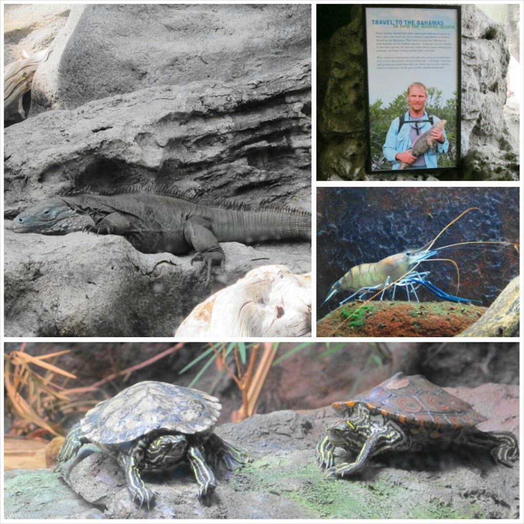 PhotoGrid_1398602403912