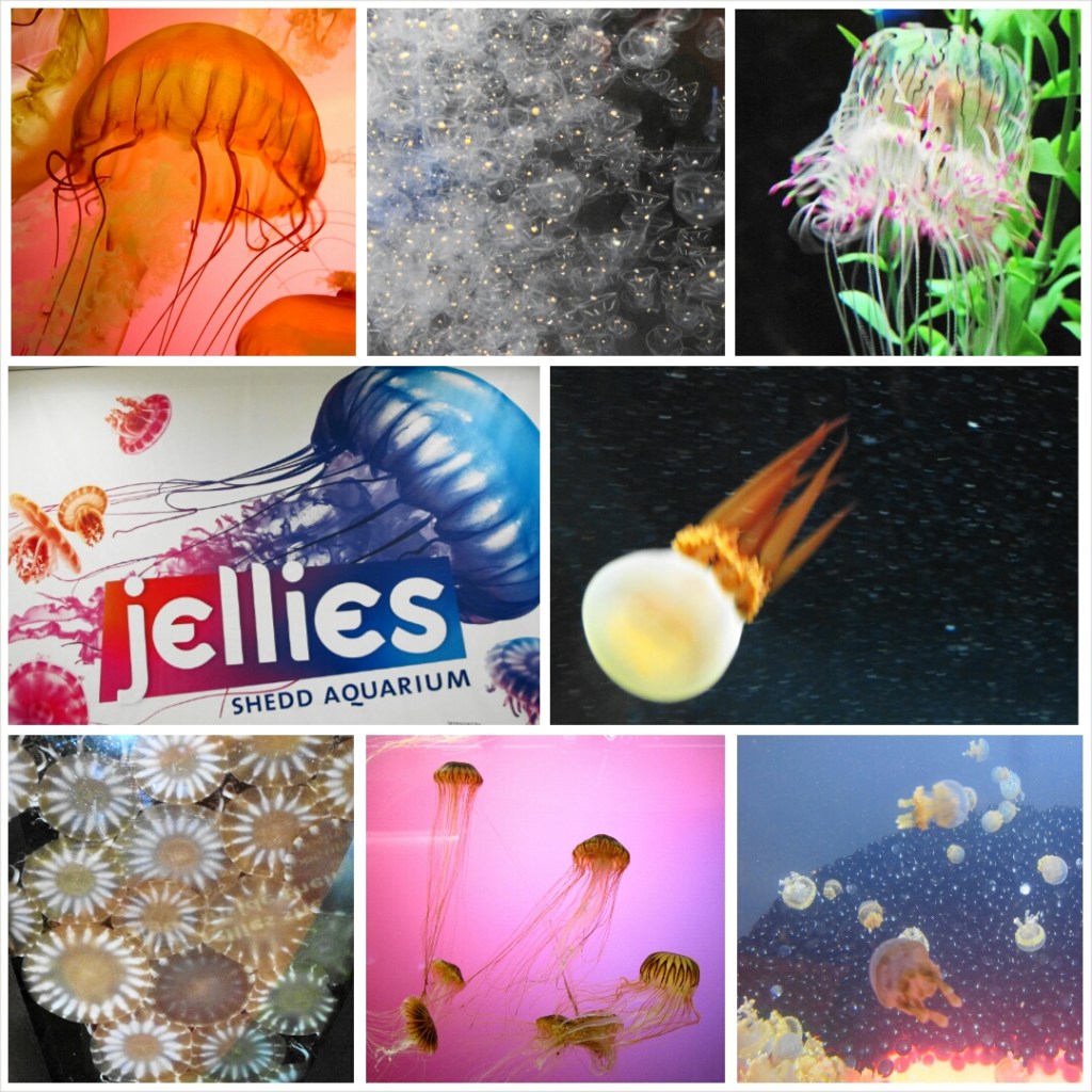 PhotoGrid_1398603127634