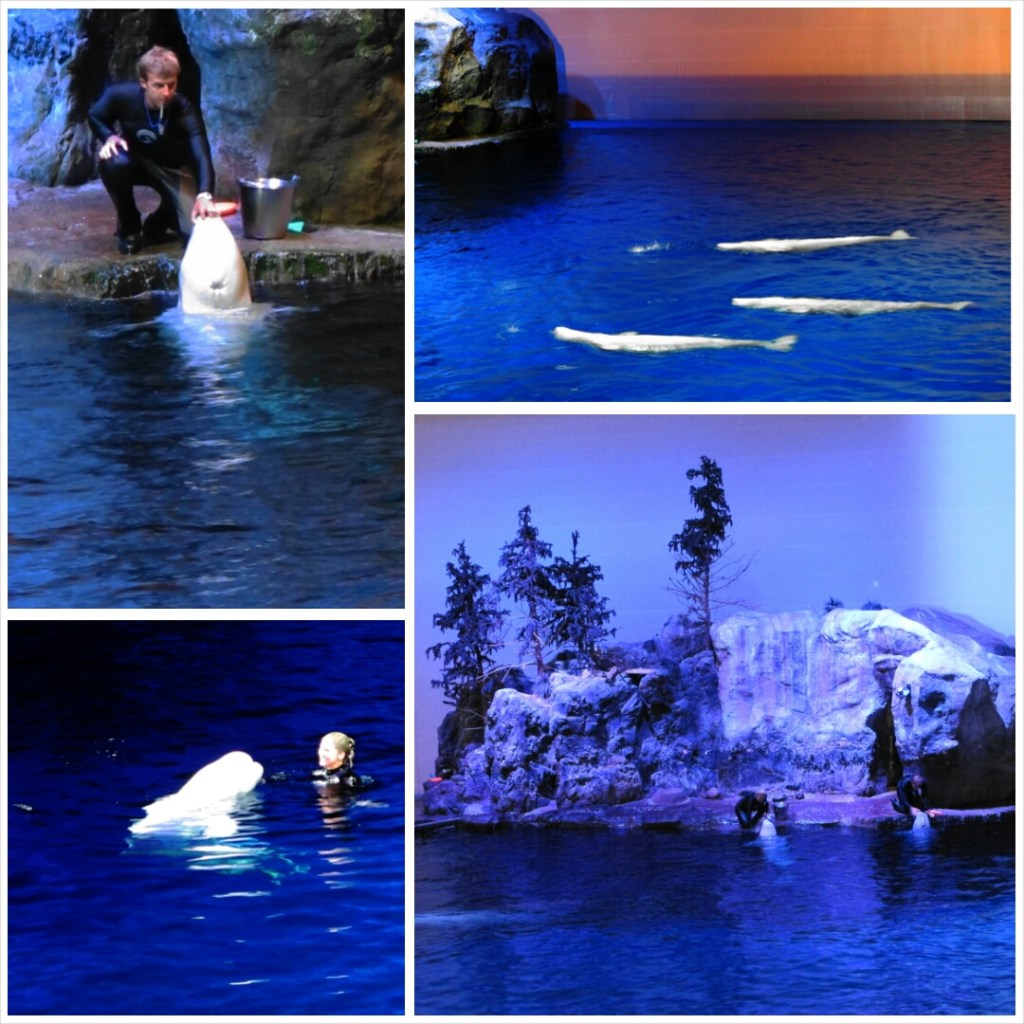 PhotoGrid_1398603254067