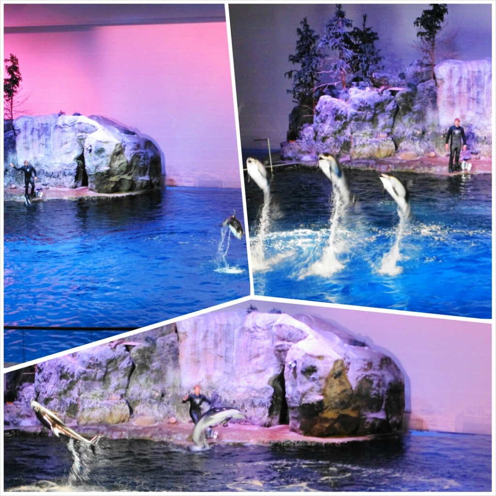 PhotoGrid_1398603395879