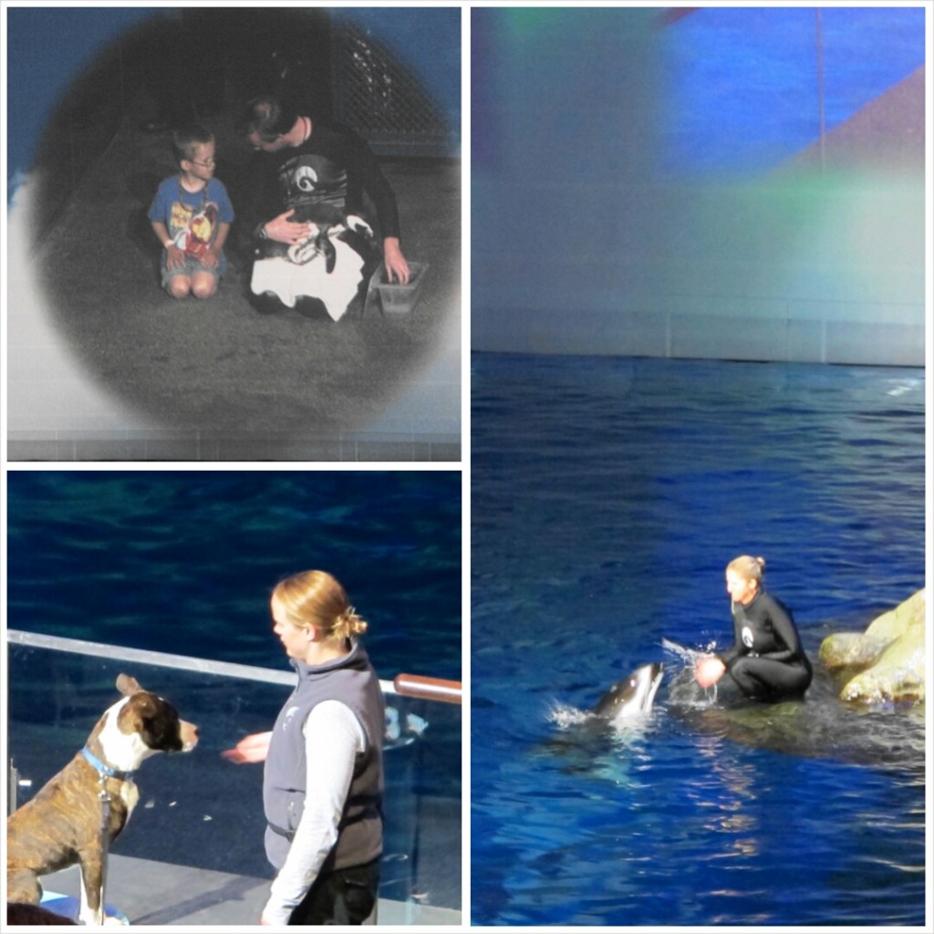 PhotoGrid_1398603978108