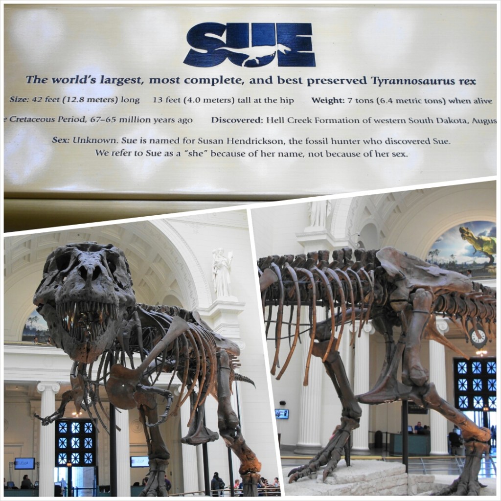 PhotoGrid_1399409648108