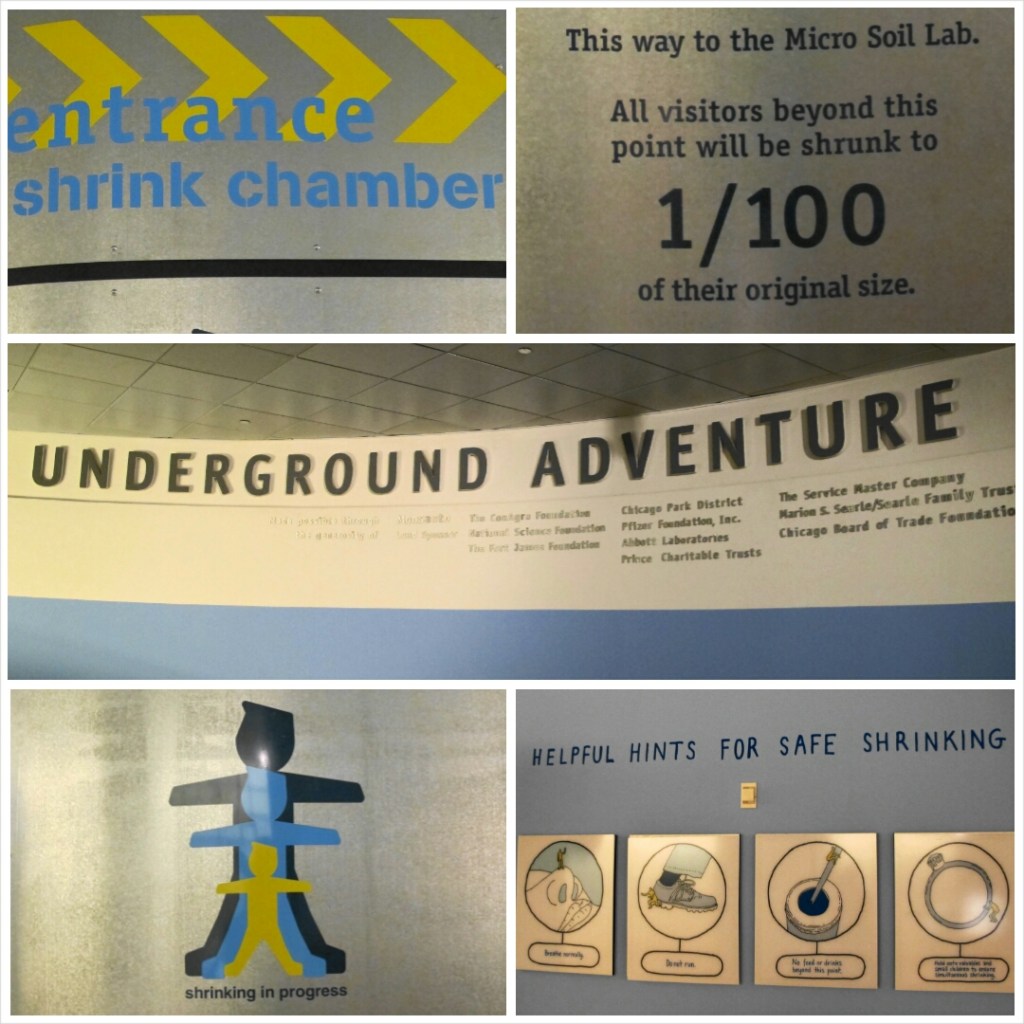 PhotoGrid_1399411099572