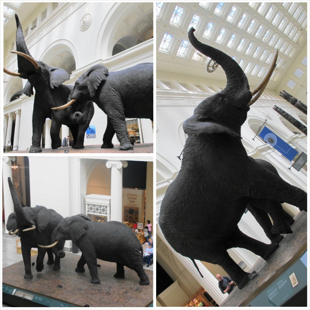 PhotoGrid_1399412414295