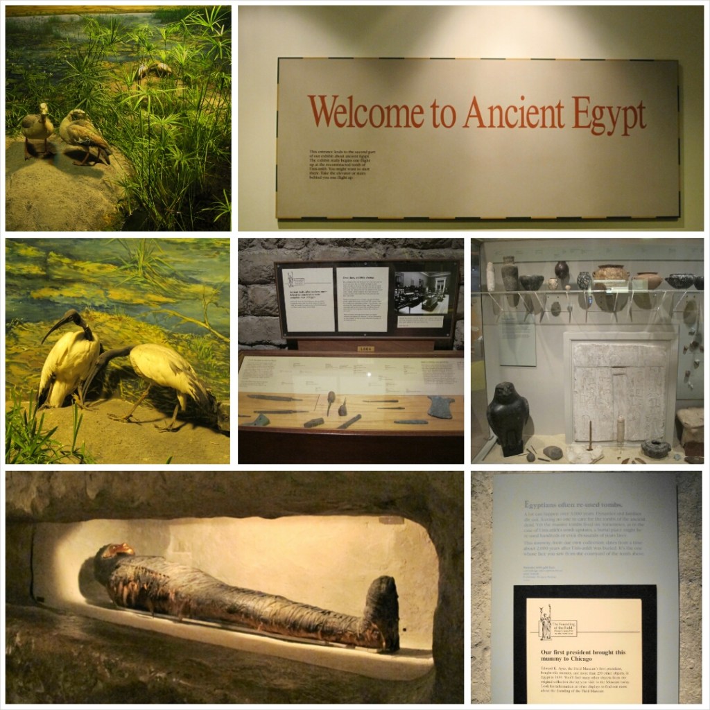 PhotoGrid_1399414644095