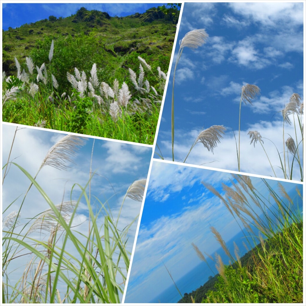 PhotoGrid_1405293058942