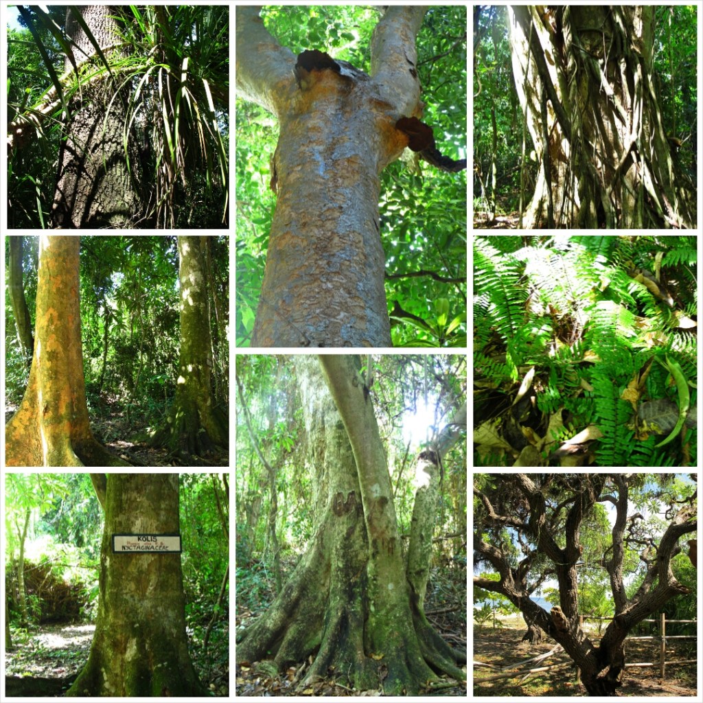 PhotoGrid_1406812716716