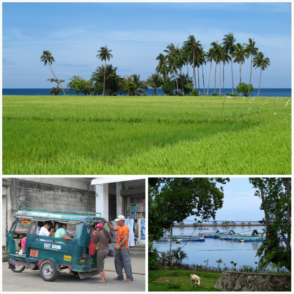 PhotoGrid_1408187621894