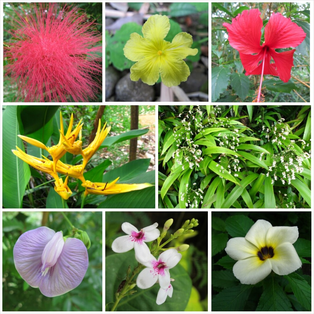 PhotoGrid_1409146007497