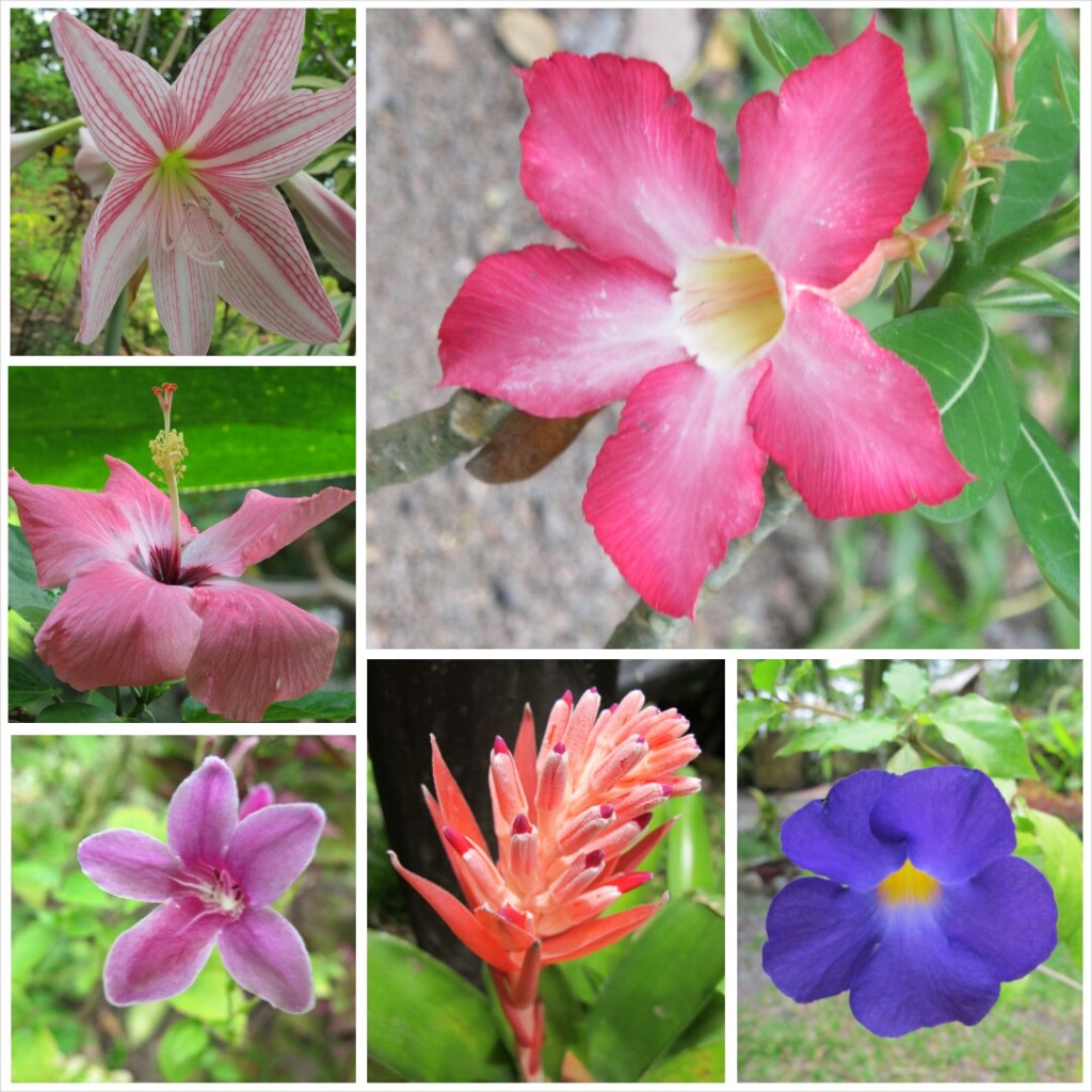 PhotoGrid_1409650860191