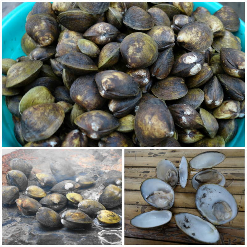 PhotoGrid_1410818564367