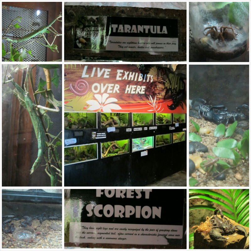 PhotoGrid_1416919585817