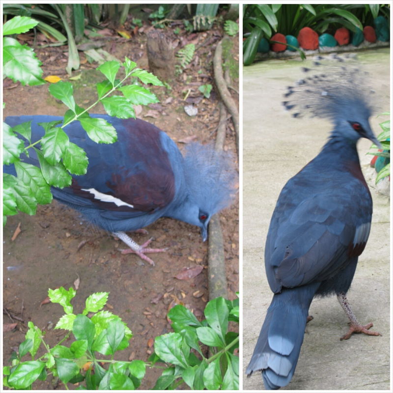 PhotoGrid_1416947065086