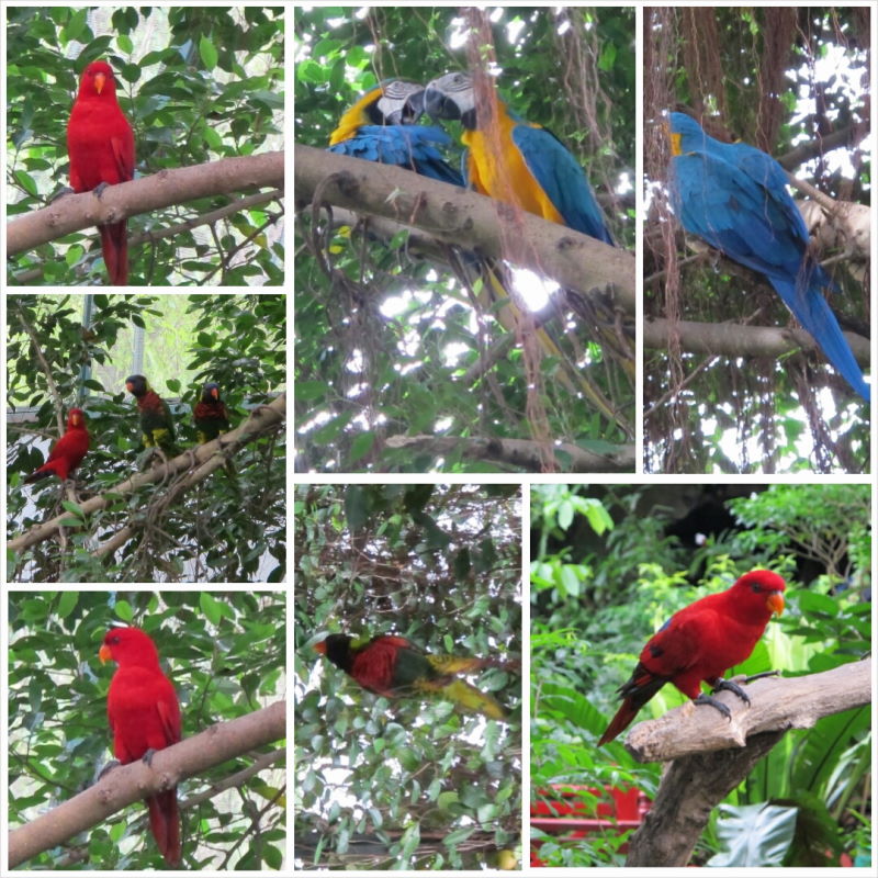 PhotoGrid_1416947576468