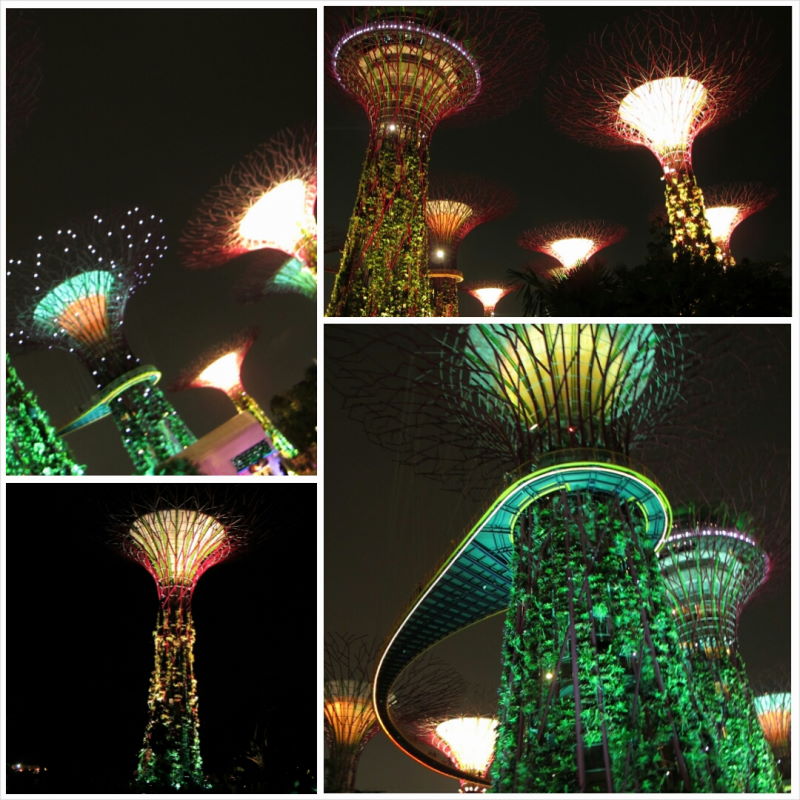 PhotoGrid_1418044360691