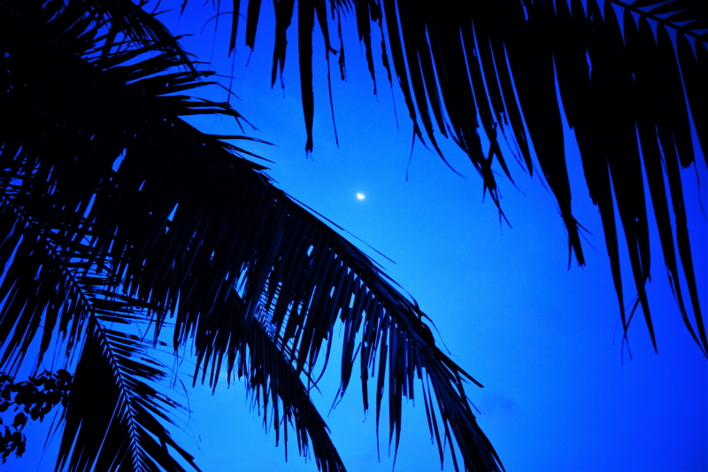 Dining at Isla Naburot (13)