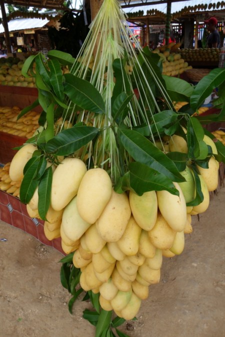 Manggahan Festival 03