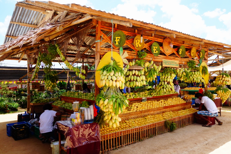 Manggahan Festival 05