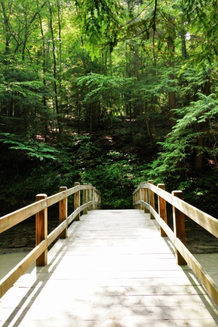 Buttermilk Falls (11)