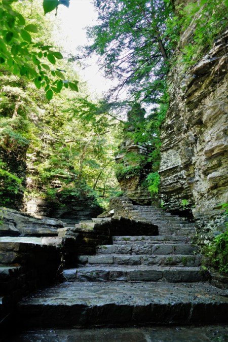 Buttermilk Falls (18)