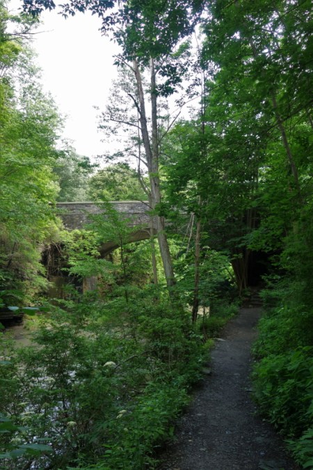 Buttermilk Falls (26)