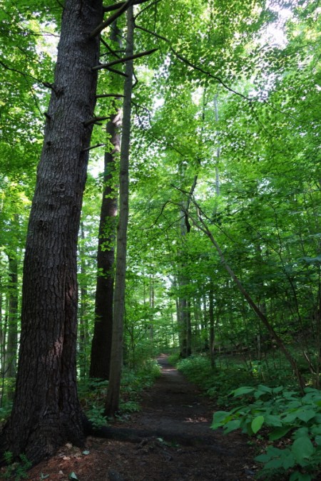 Buttermilk Falls (27)