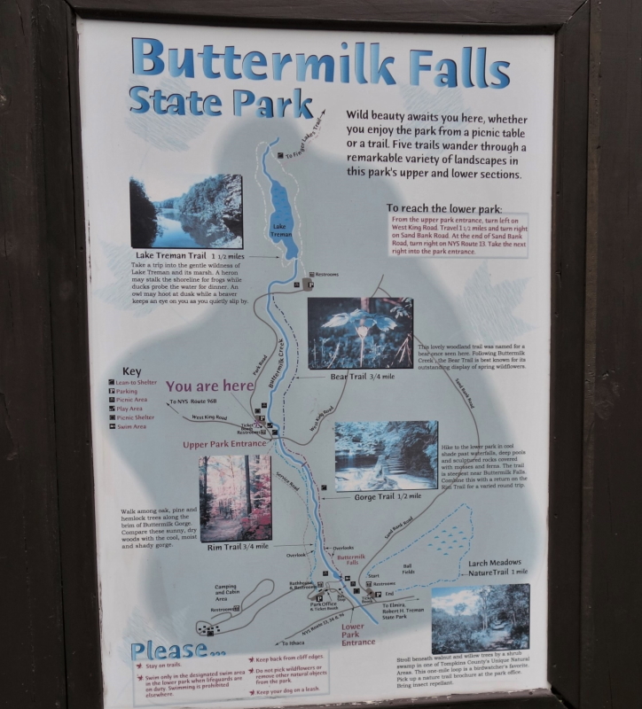 Buttermilk Falls (4)