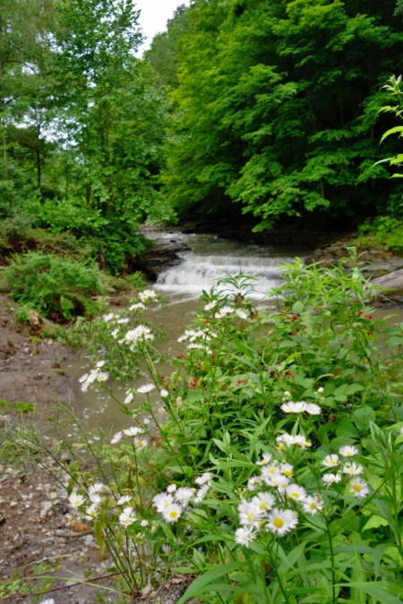 Buttermilk Falls (5)