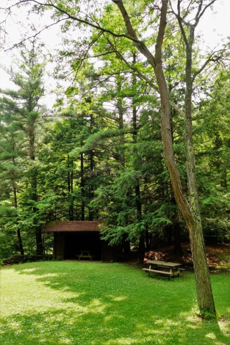 Buttermilk Falls (7)