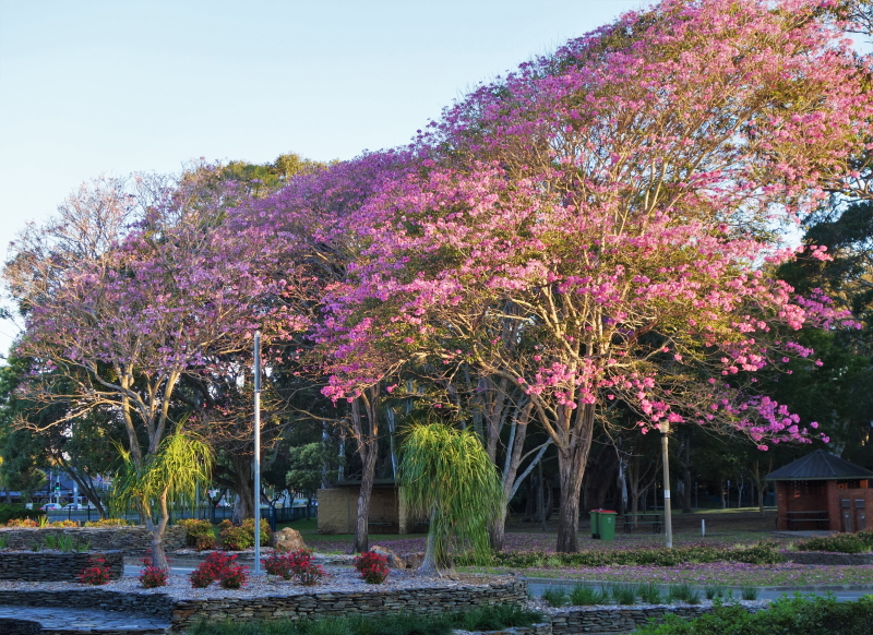 gc-cascades-gardens-20