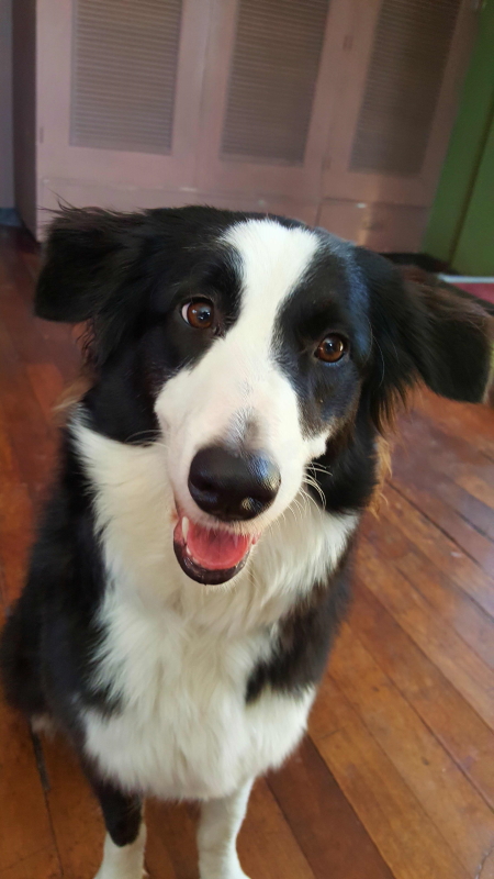 processed by AtomJPEG  1.4.0a?