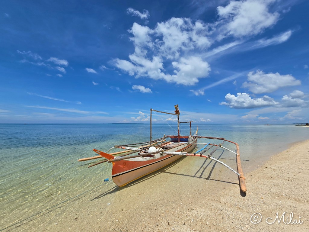 Medellin, Cebu: Ikigai Beach House